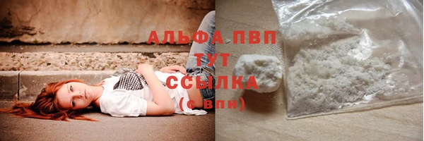 гидра Горно-Алтайск