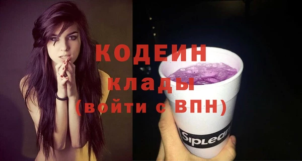экстази Гусь-Хрустальный