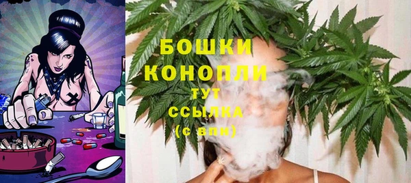 прущие грибы Тихорецк