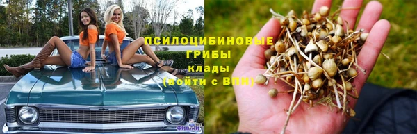 соль ск Гусев