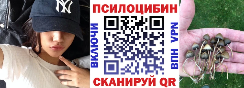 как найти наркотики  Юрюзань  Псилоцибиновые грибы Psilocybine cubensis 